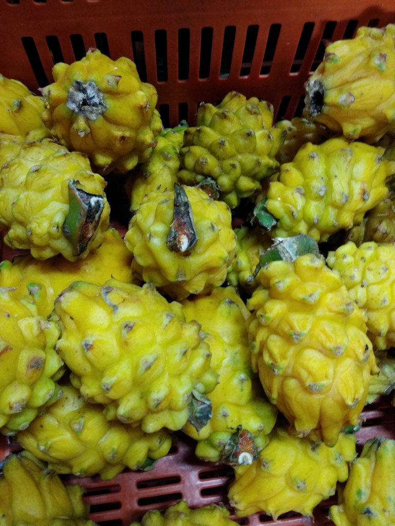 Pitahaya