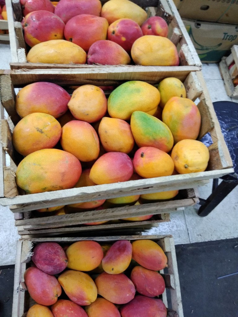 Mango yulima