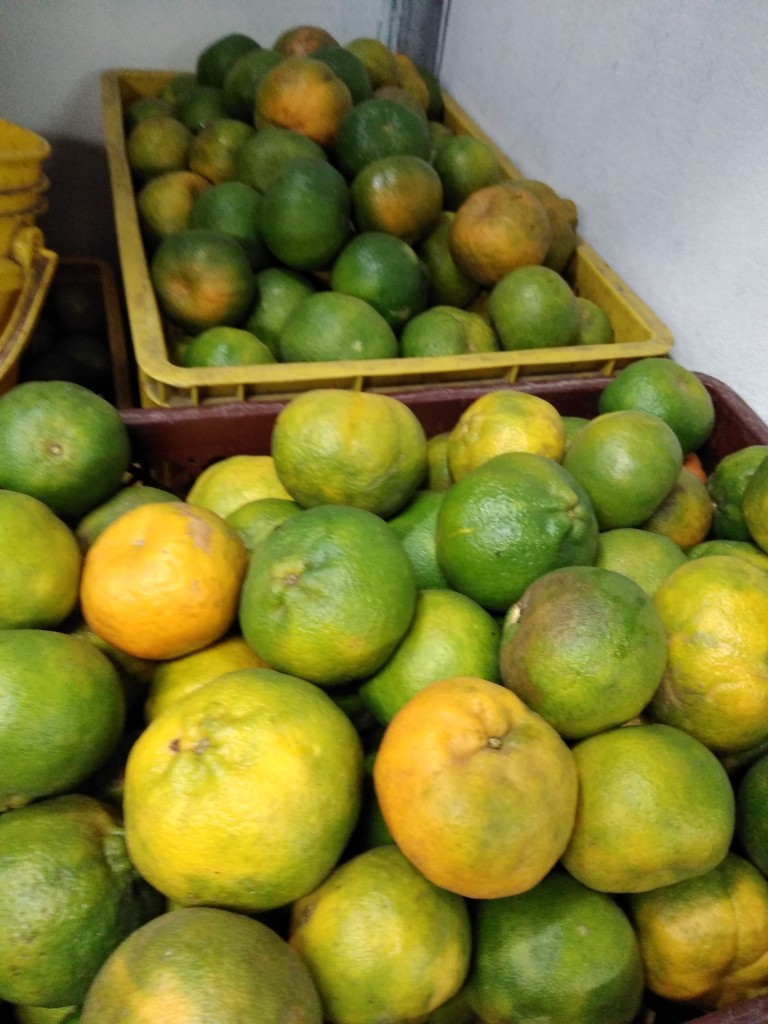 Mandarina oneco