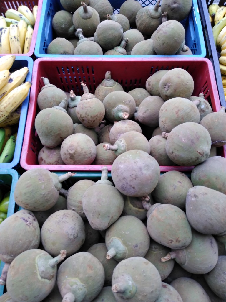 Zapote injerto