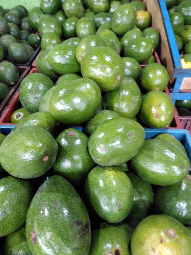 Zapote injerto — foto 8 de 10