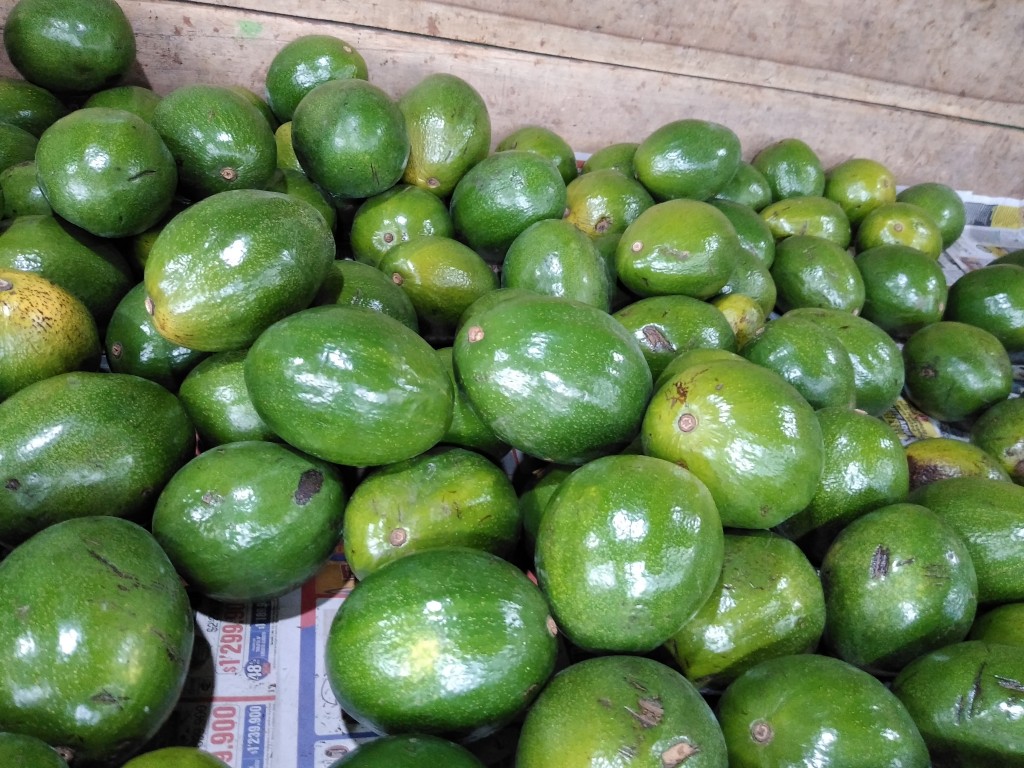 Aguacate choquette