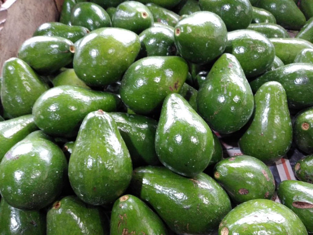 Zapote injerto — foto 10 de 10