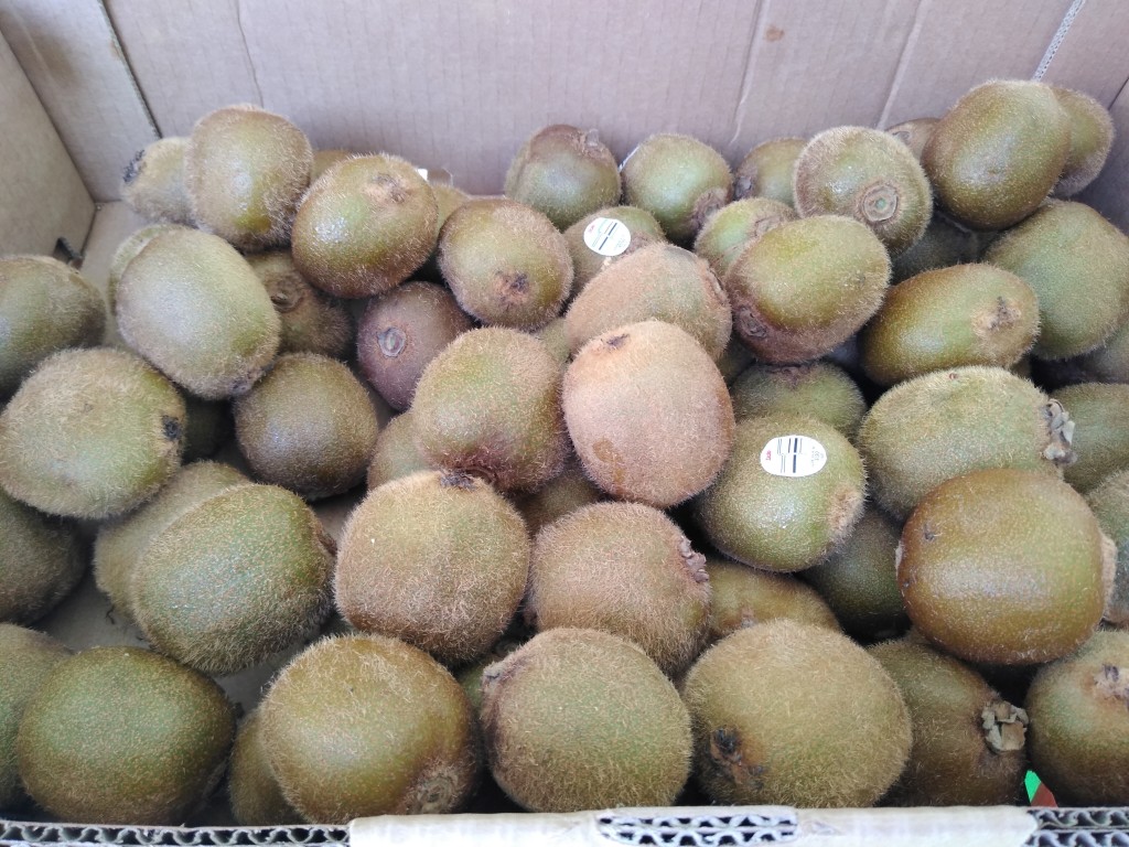 Kiwi