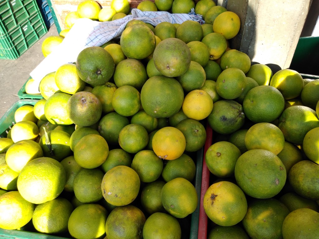 Naranja swith gruesa
