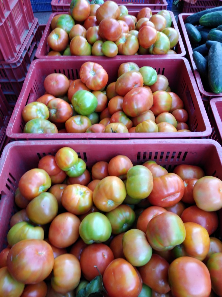 Tomate riñón