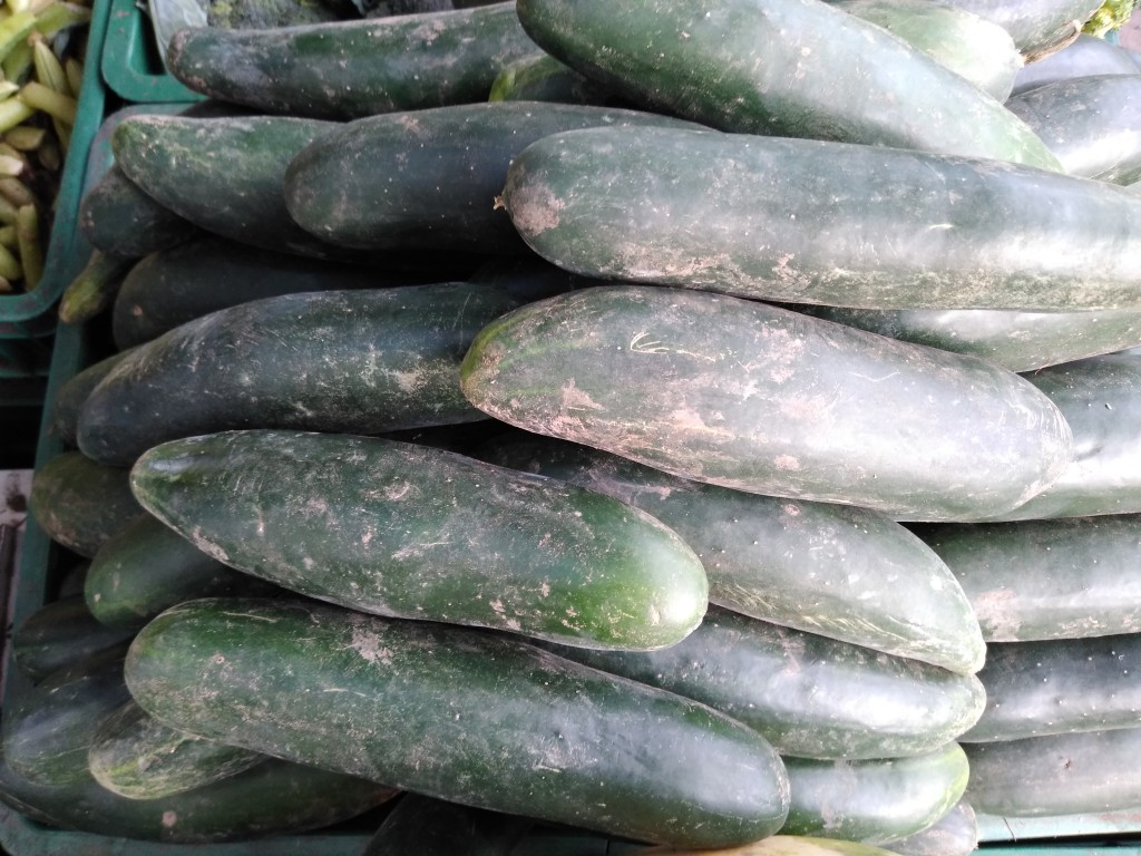 Pepino