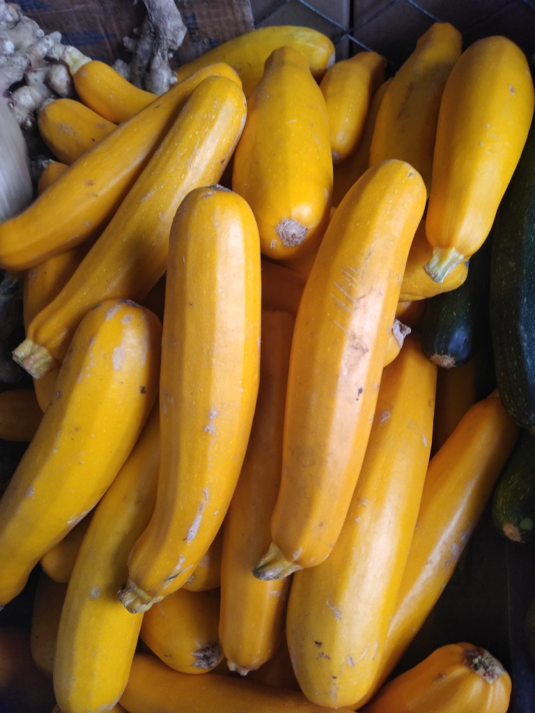 Zuccini amarillo