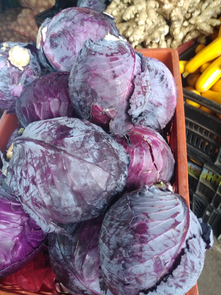 Repollo morado