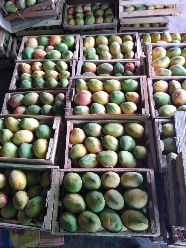 Mango Reina