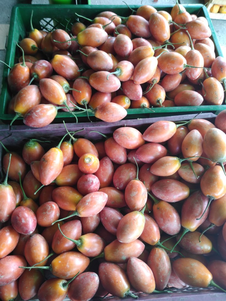 Tomate de árbol