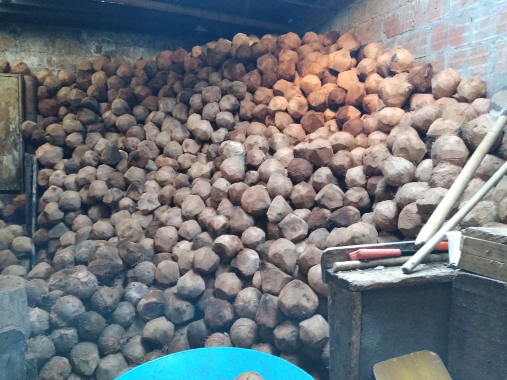 Coco típico