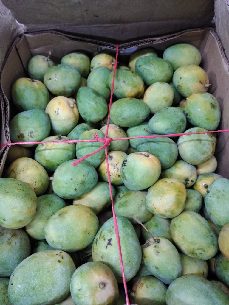 Mango de azúcar