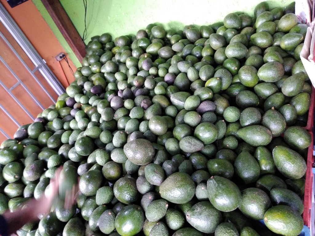 Aguacate Booth 8