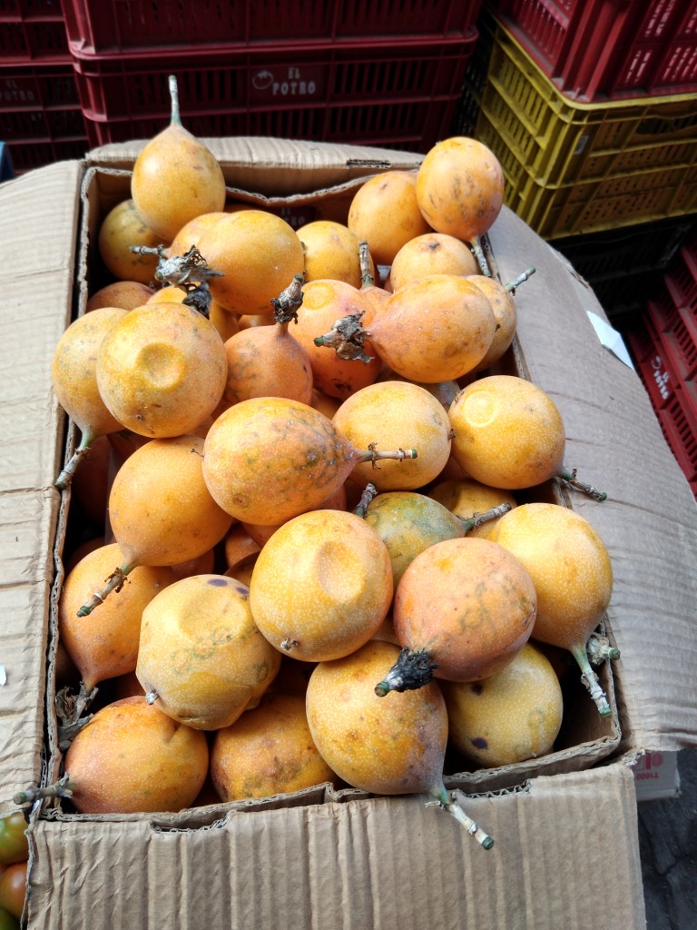 Granadilla