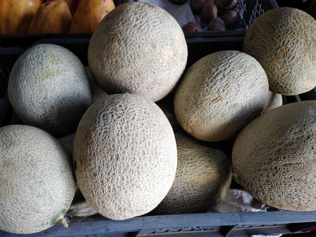 Melón