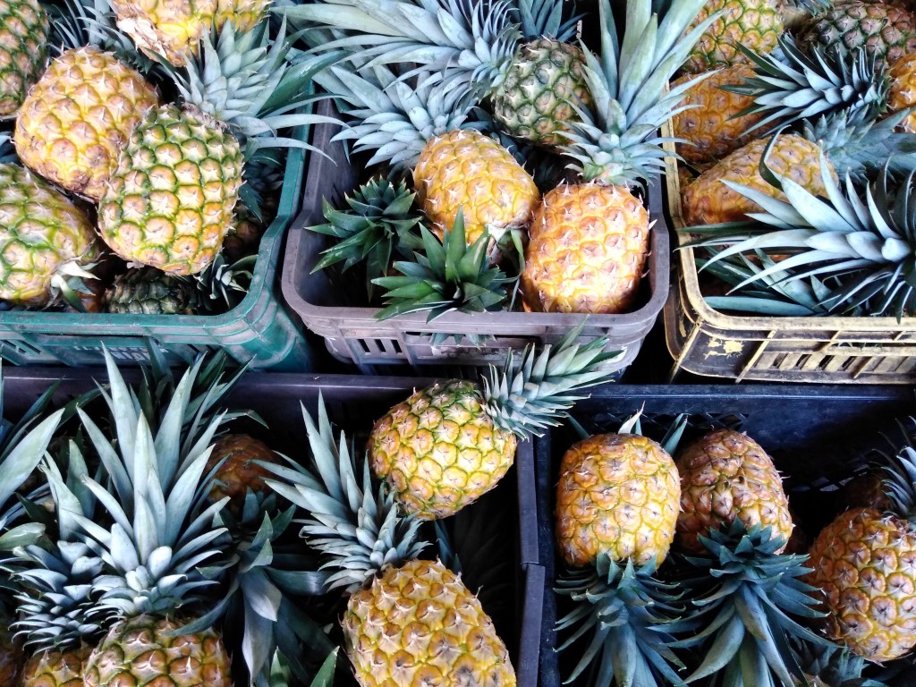 Piña oro miel 2da