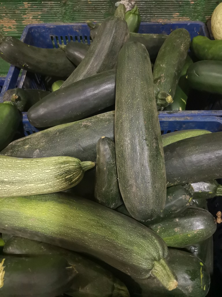Zucchini
