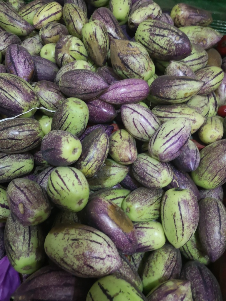 Pepino de Agua