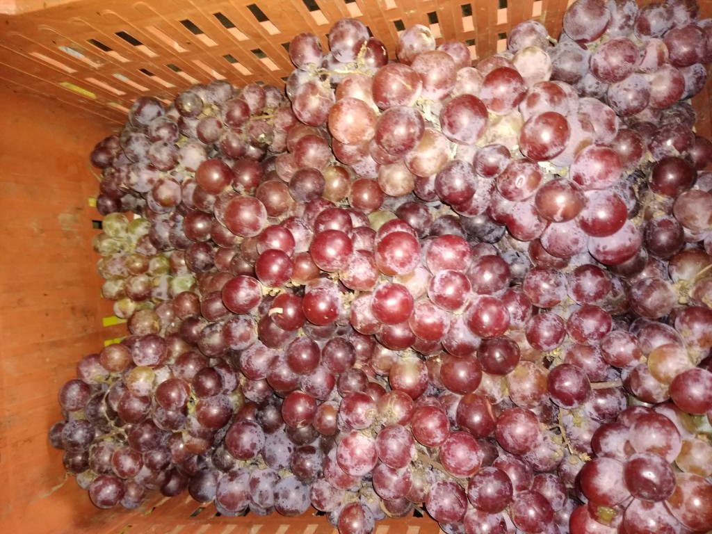 Uva nacional