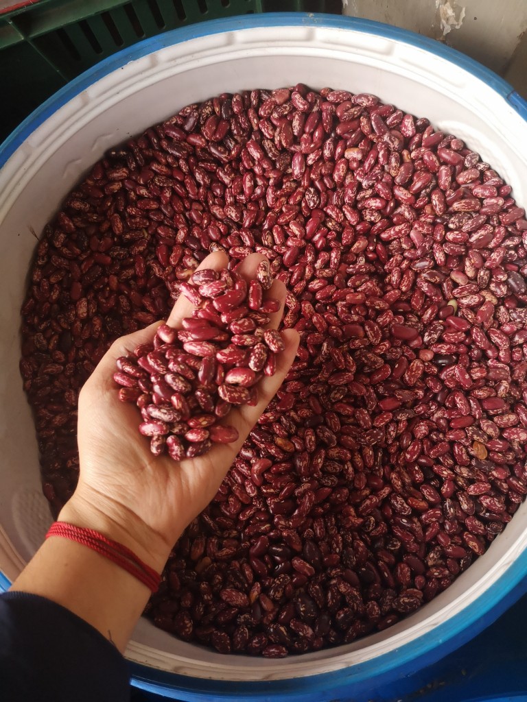 Frijol Lima Agranel  /bulto