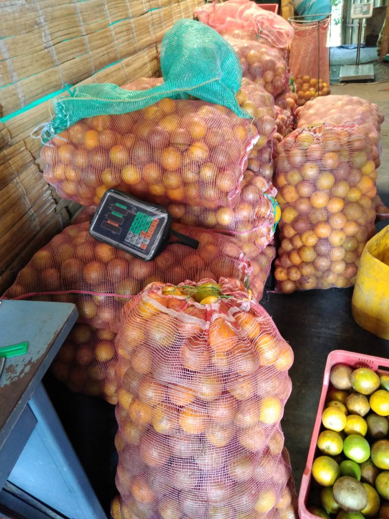Naranja Valencia
