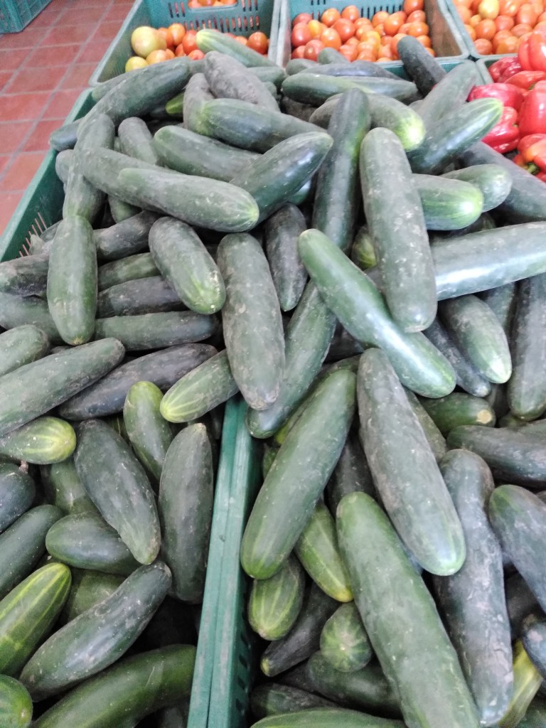 Pepino
