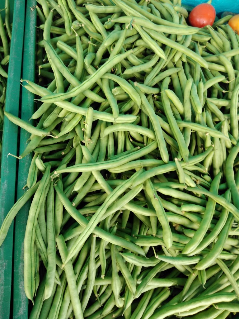 Habichuela