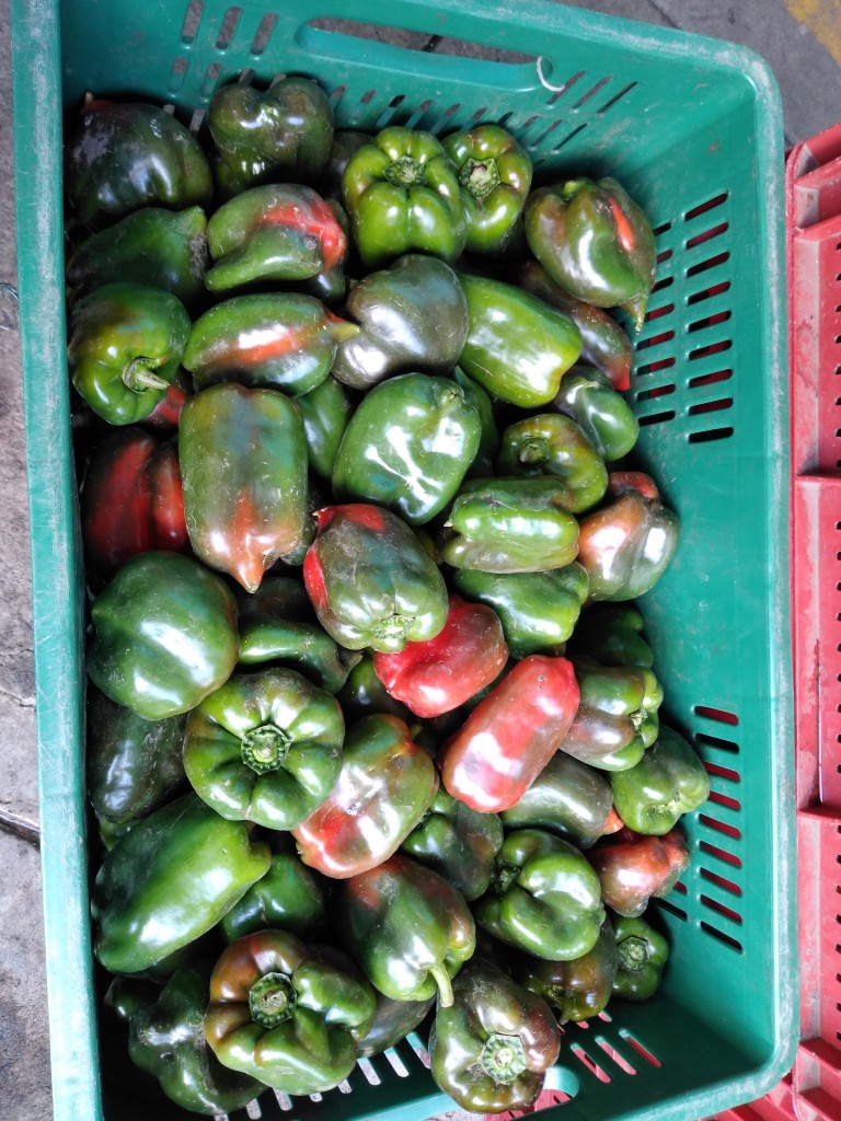 Tomate riñón — foto 8 de 8
