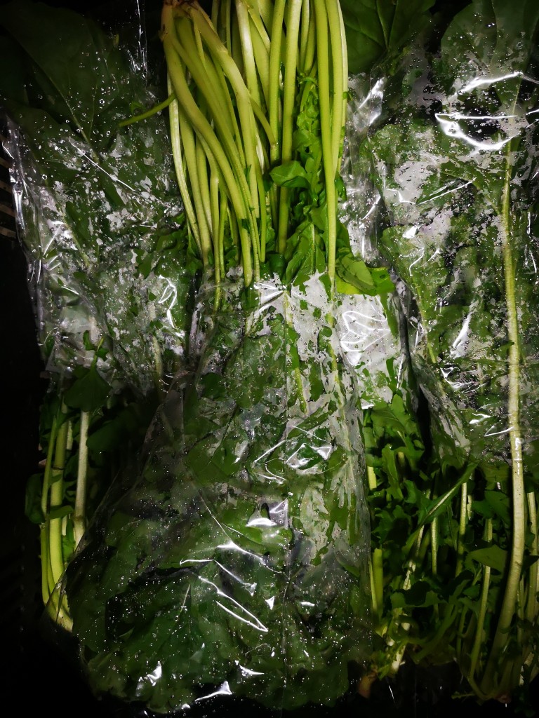 Rugula