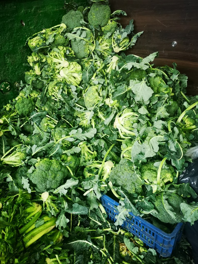 Brócoli