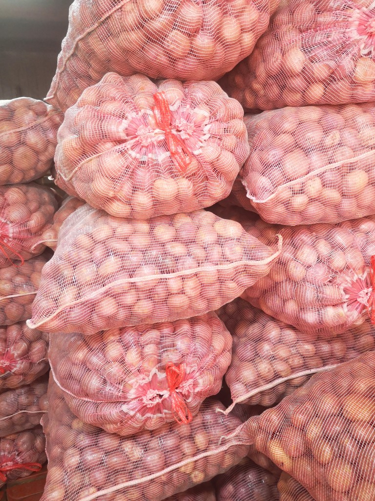 Papa pollo /50kg
