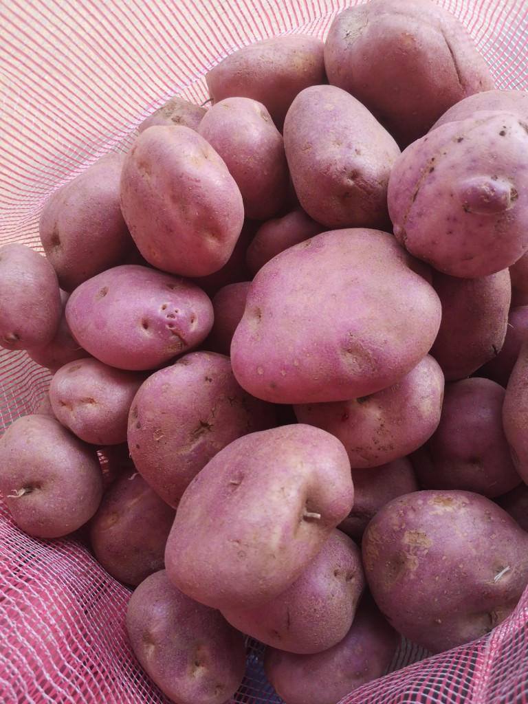 Papa Puracé 50kg