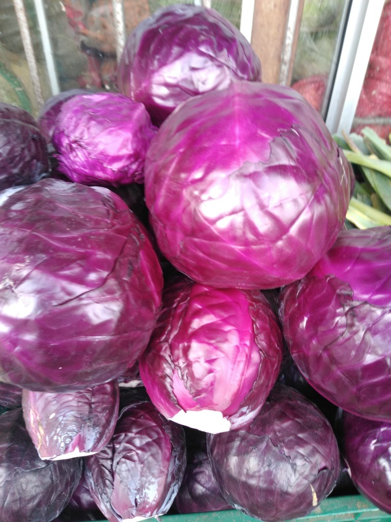Repollo morado