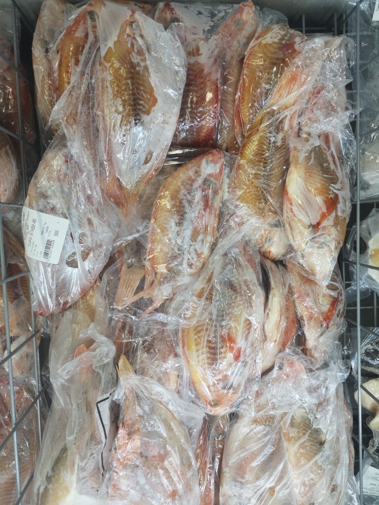 Tilapia Roja /limpia