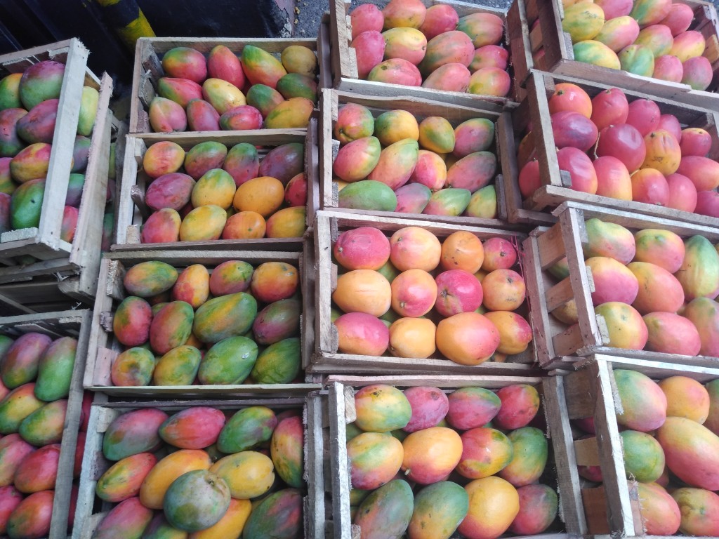 Mango yulima