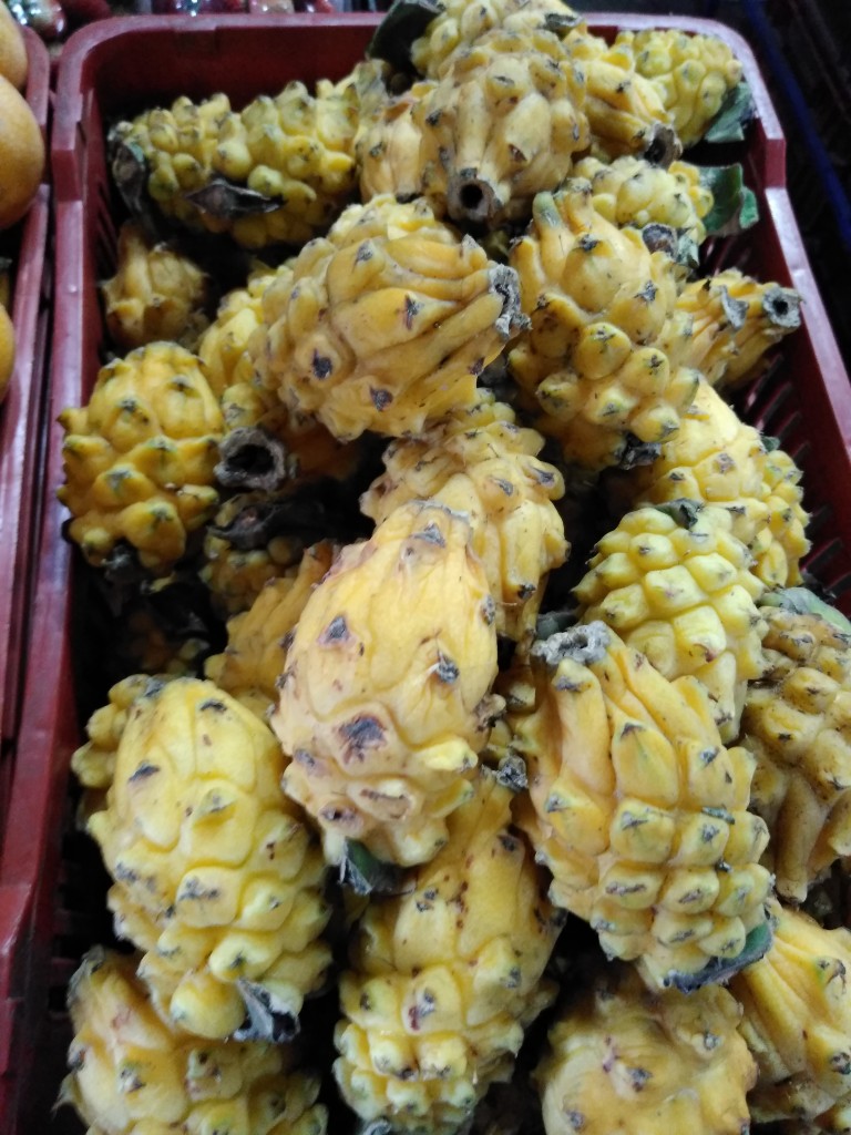 Pitahaya