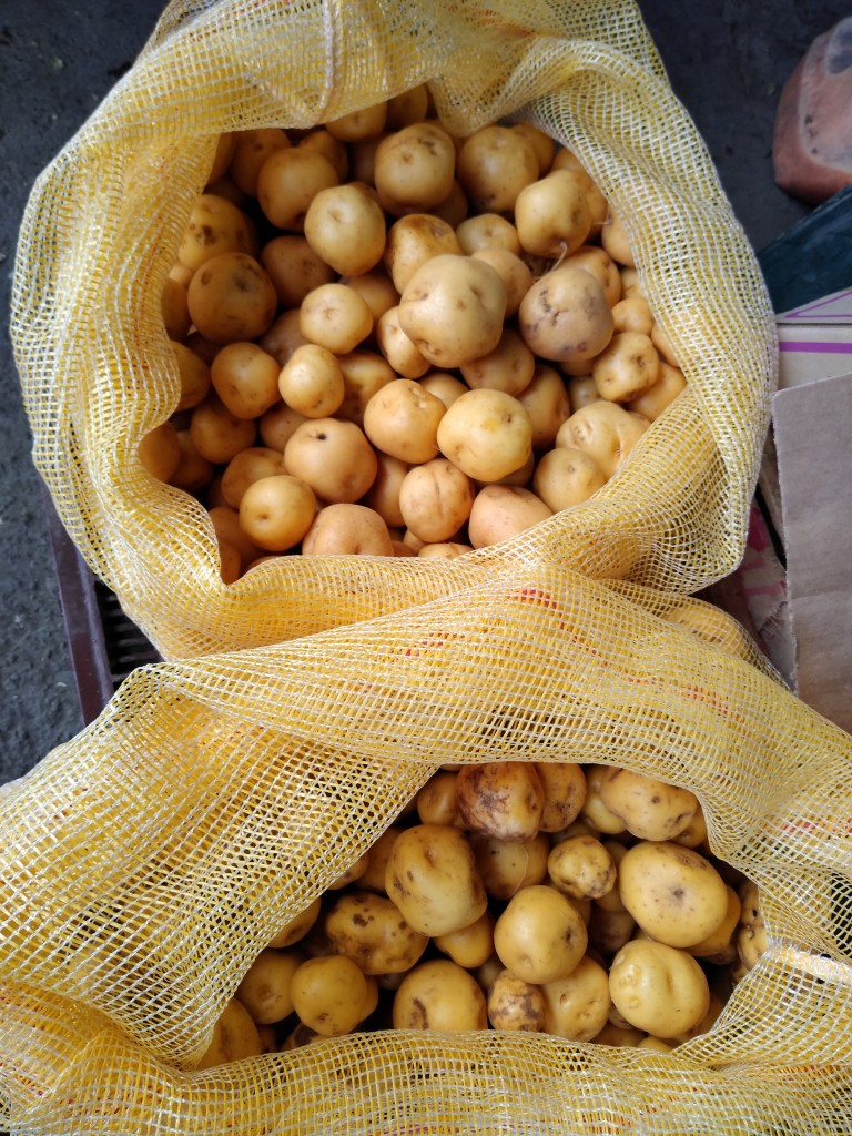 Papa criolla
