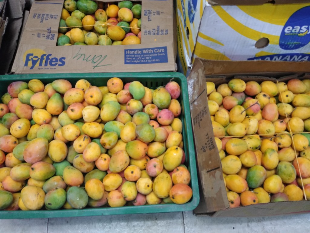 Mango de azúcar