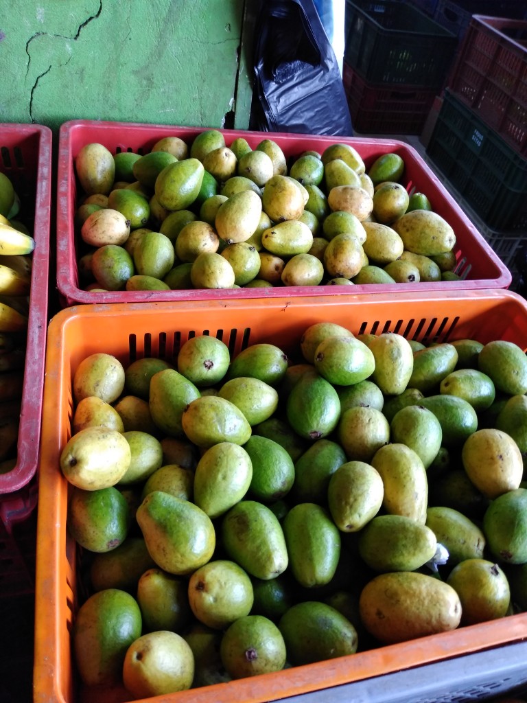 Guayaba pera