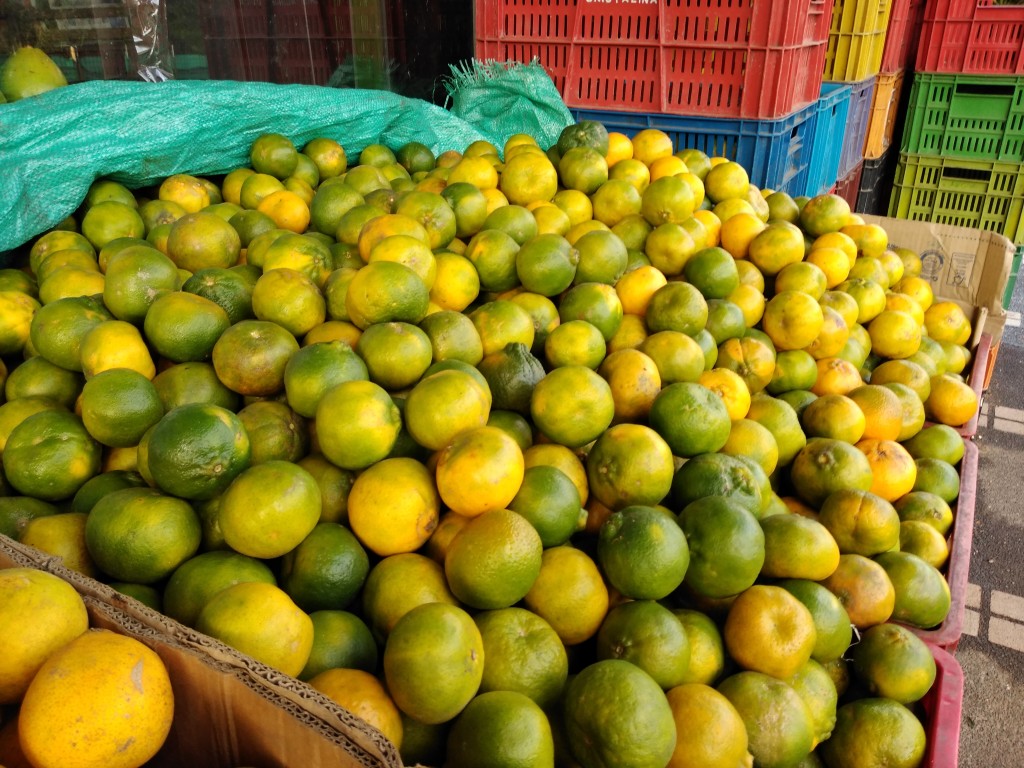 Mandarina oneco pareja