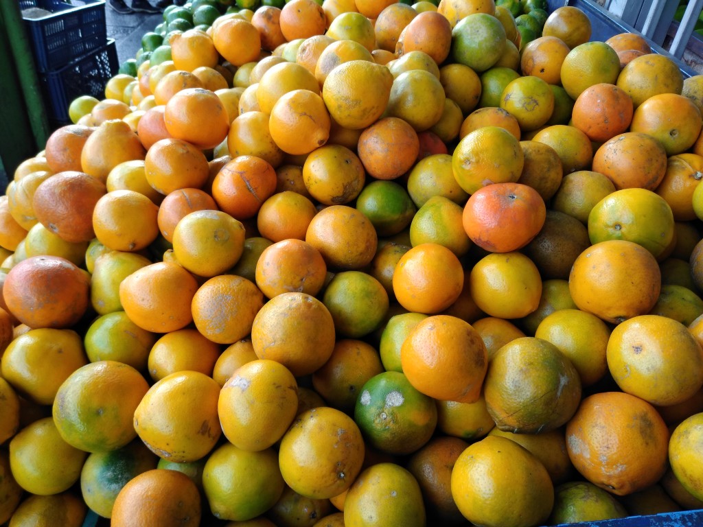 Guayaba pera — foto 10 de 11