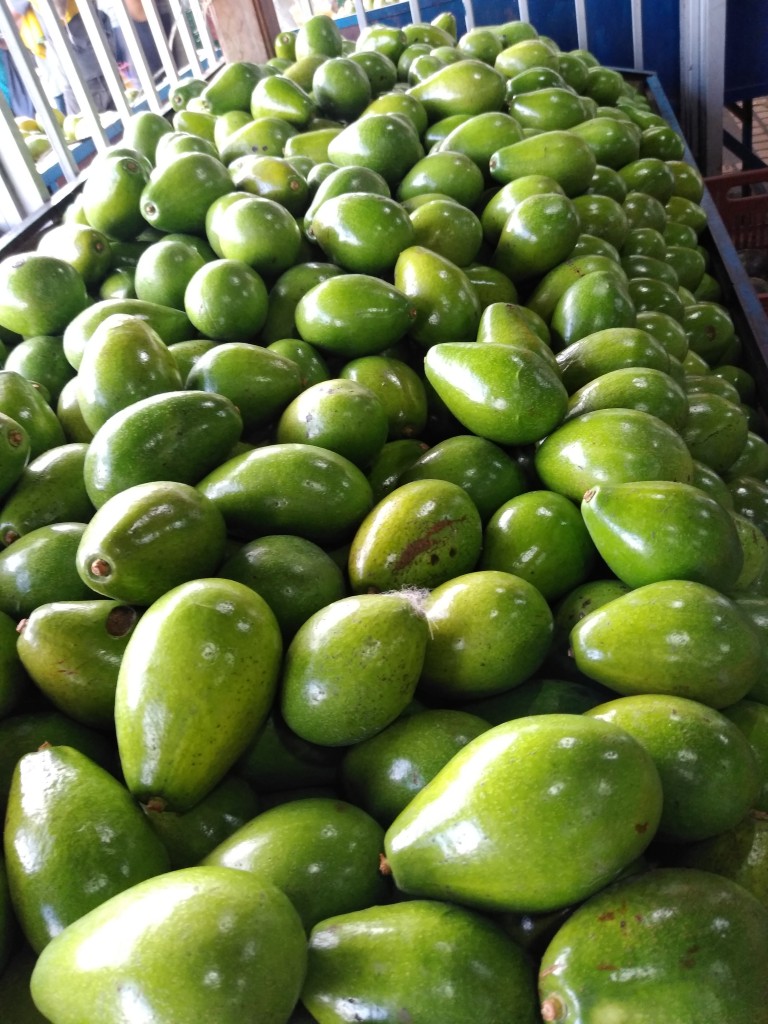 Guayaba pera — foto 9 de 11