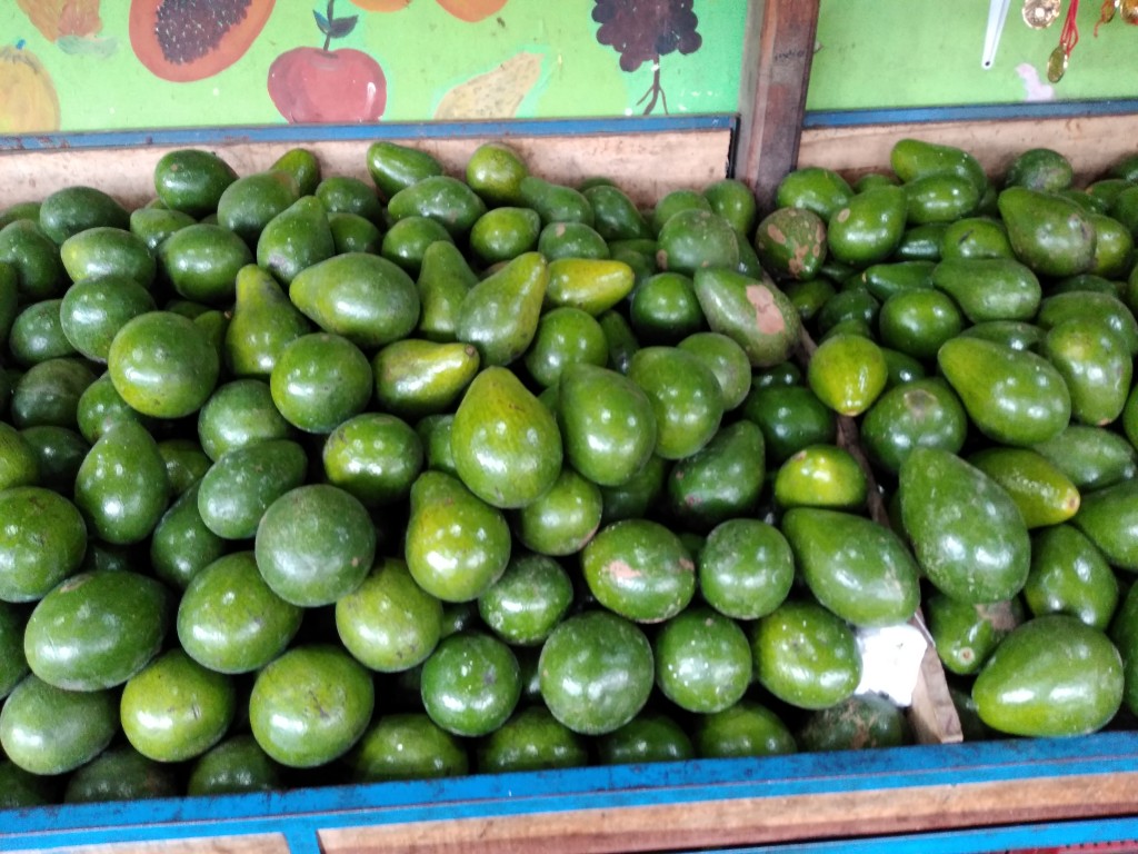 Guayaba pera — foto 11 de 11