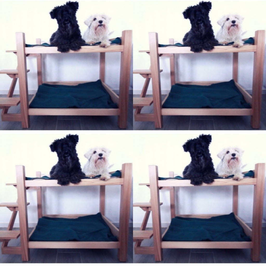 Camarotes para mascotas tu y yo