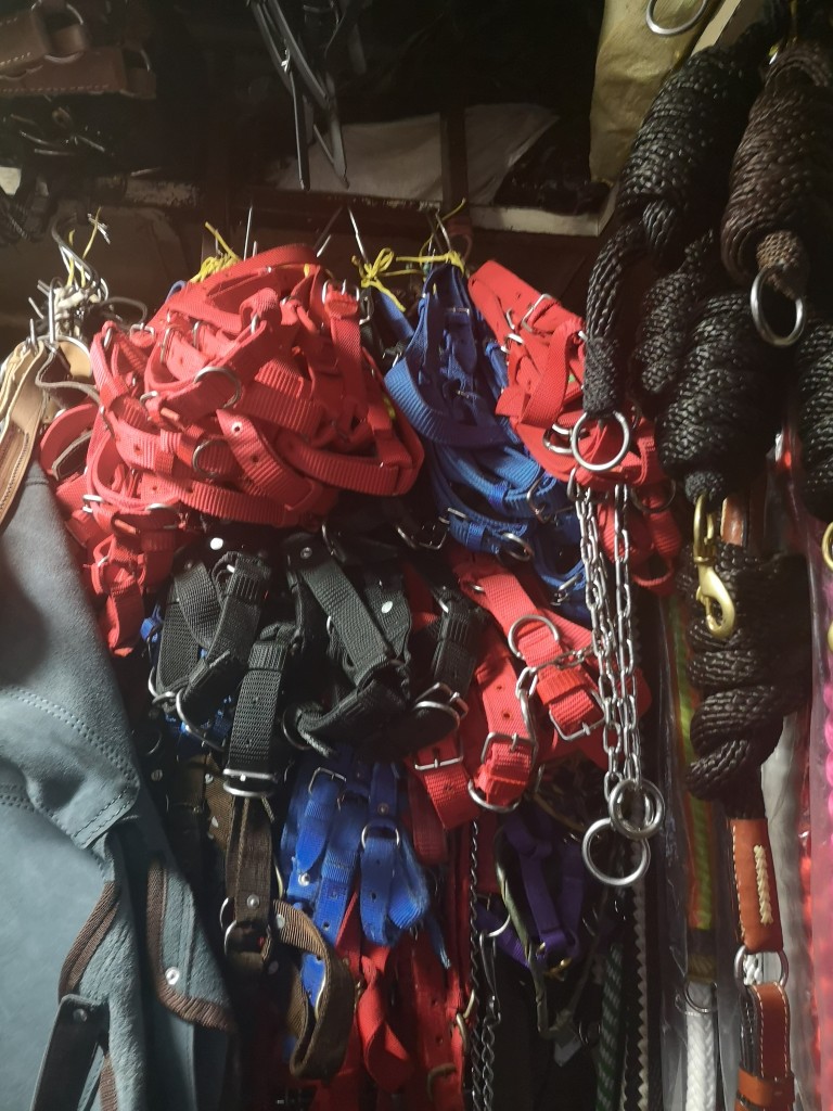 Jaquimas de Ternero