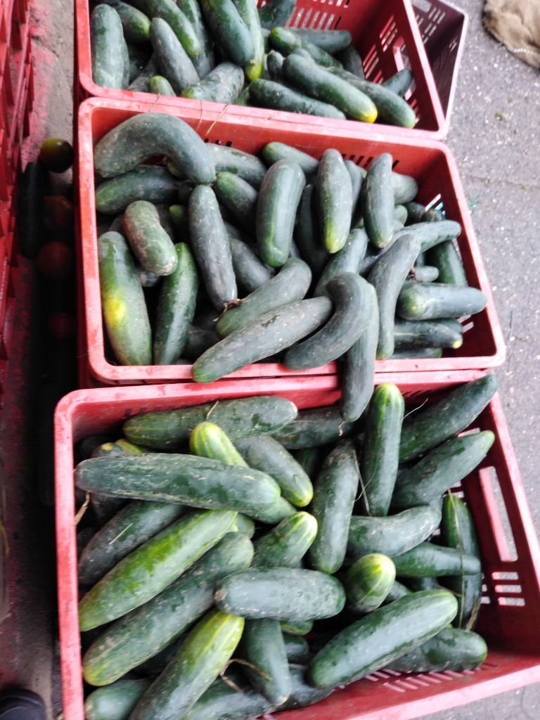 Pepino