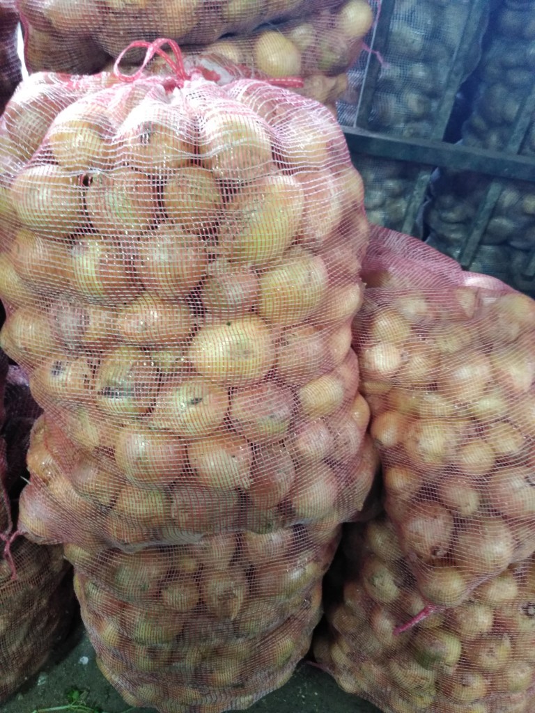 Cebolla morada peruana — foto 16 de 17