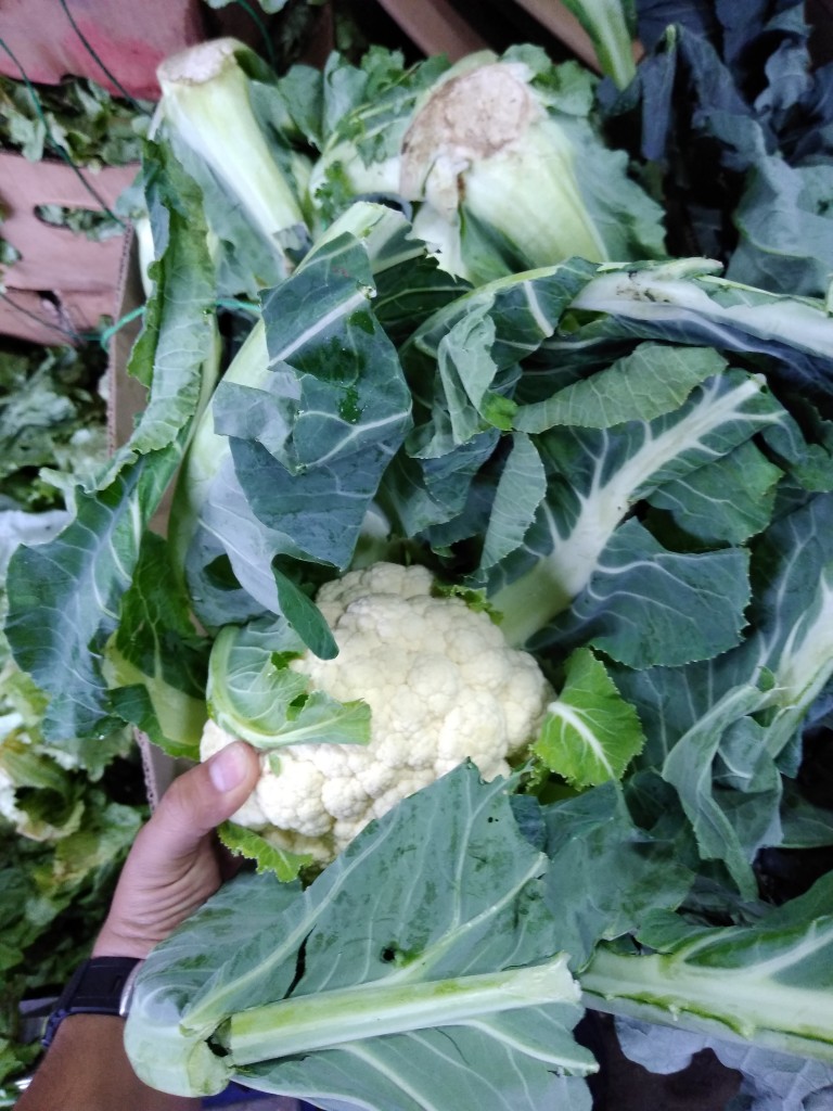 Coliflor