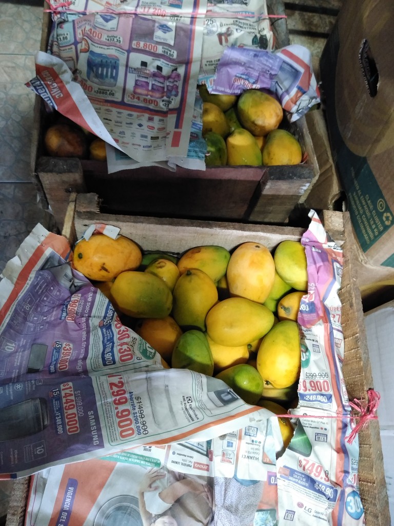 Mango de azúcar